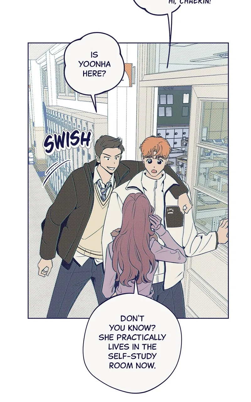 Four Options Chapter 6 page 56 - 
