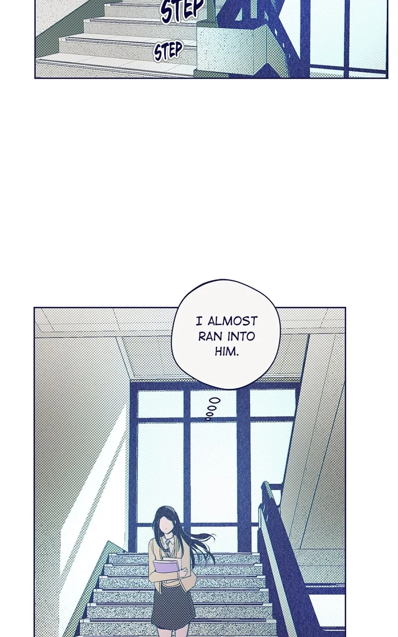 Four Options Chapter 6 page 62 - 