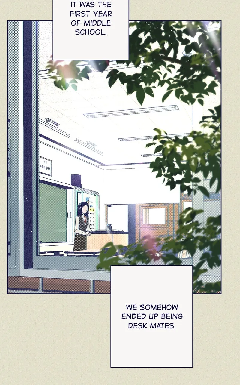 Four Options Chapter 6 page 8 - 