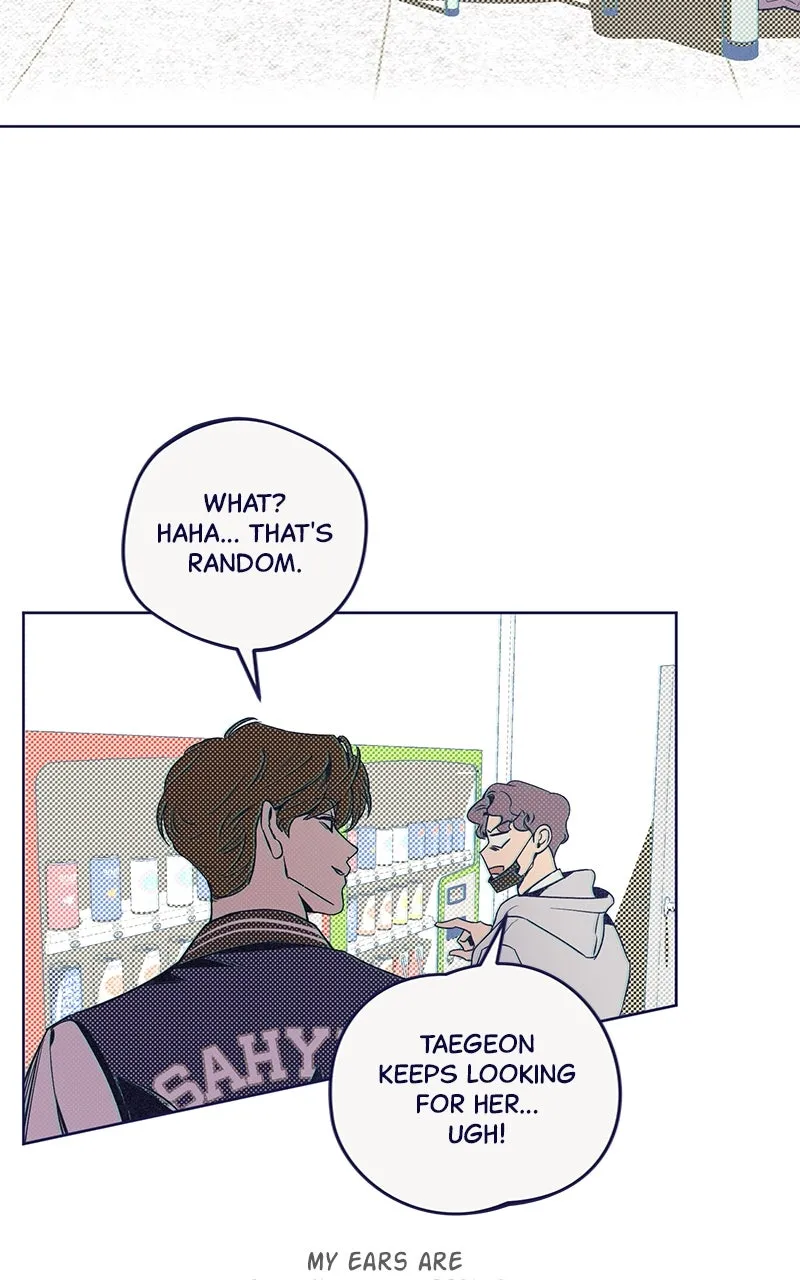 Four Options Chapter 6 page 79 - 