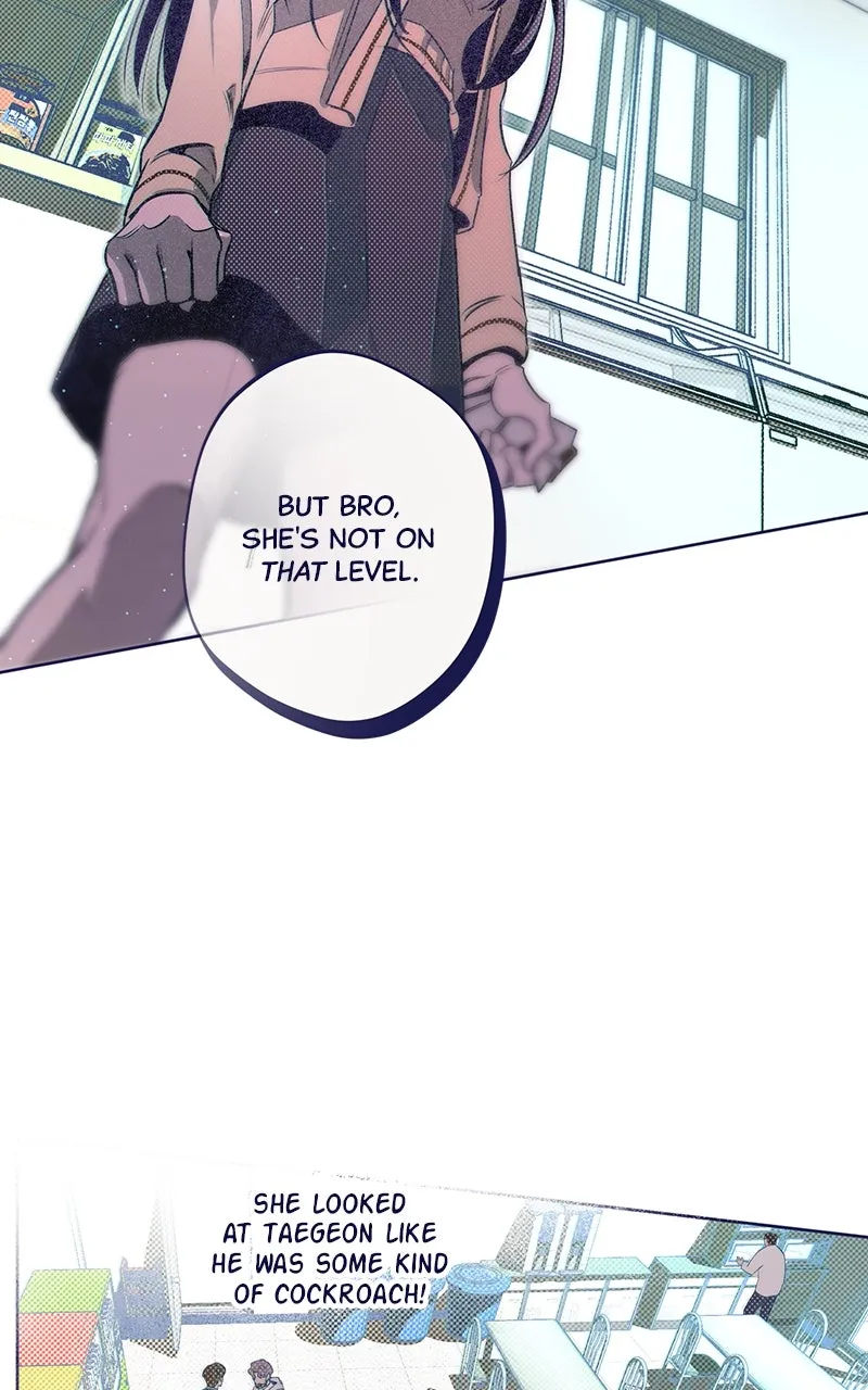 Four Options Chapter 6 page 88 - 