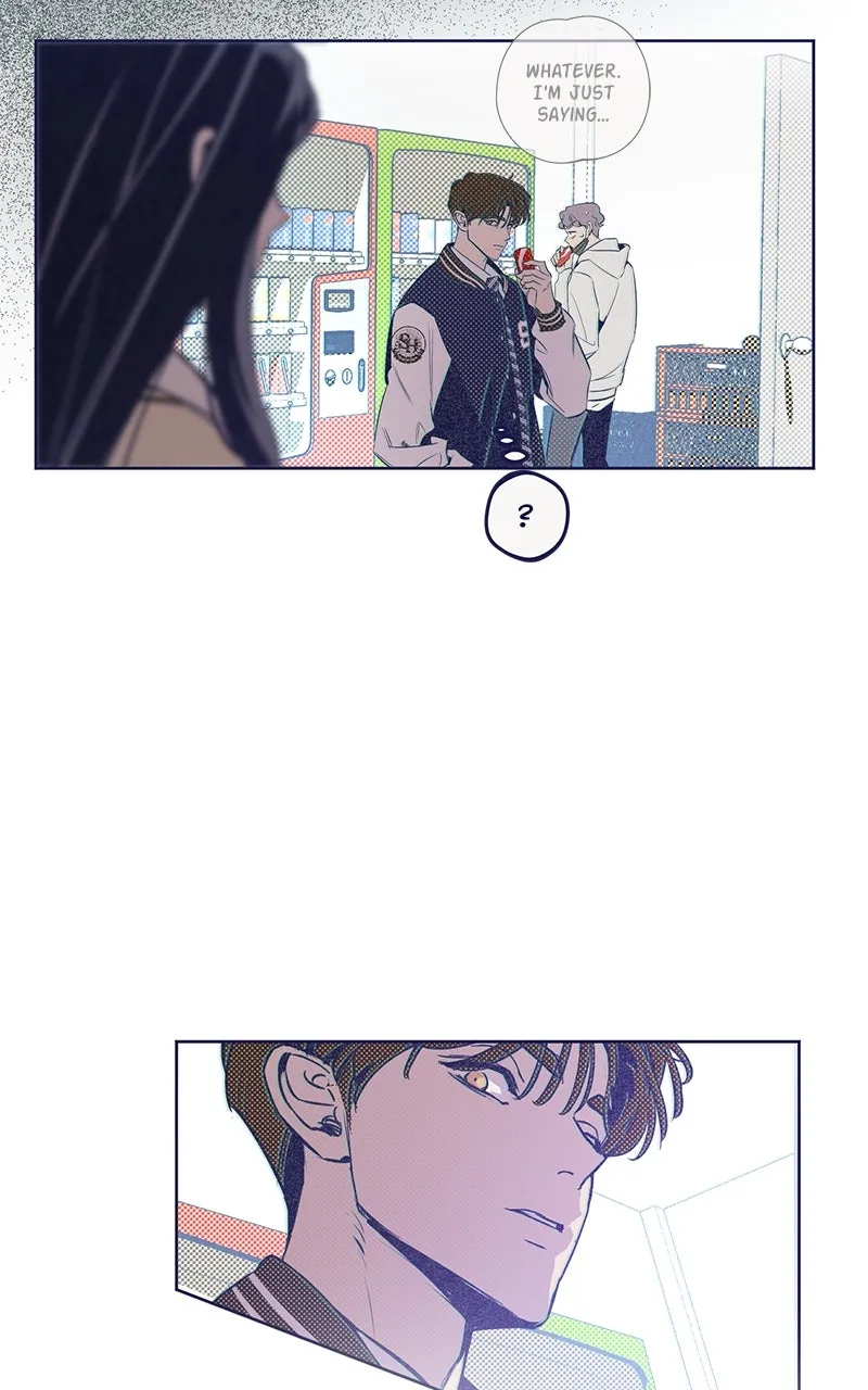Four Options Chapter 6 page 98 - 