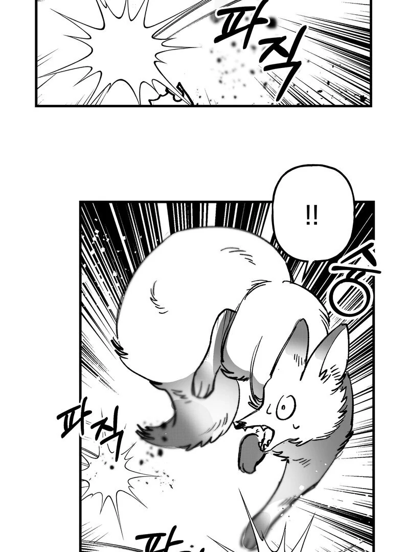 Fox and Elixir Chapter 18 page 36 - 