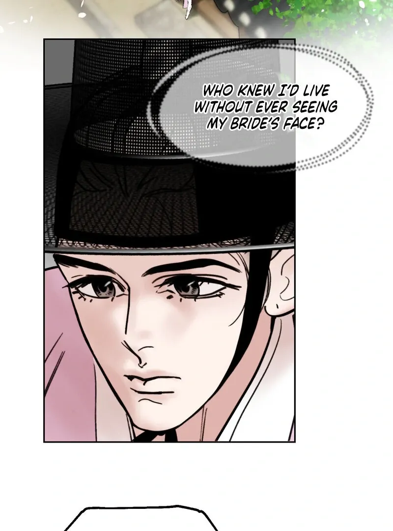 Fox Eyes That Appeared Briefly Chapter 19 page 29 - 