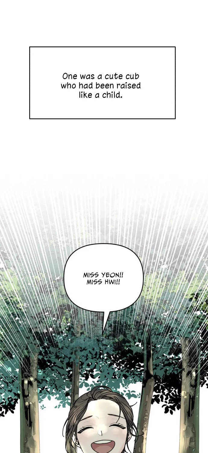 Fox Love Story Chapter 1 page 34 - 