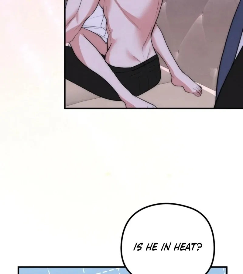 Fox Trap Chapter 15 page 39 - 