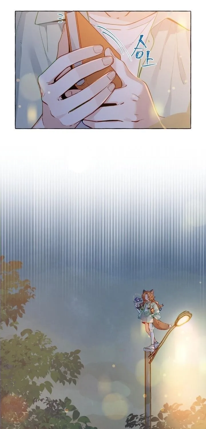 Foxes Always Lie Chapter 1.1 page 5 - 