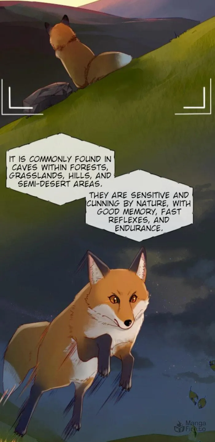 Foxes Always Lie Chapter 1 page 3 - 