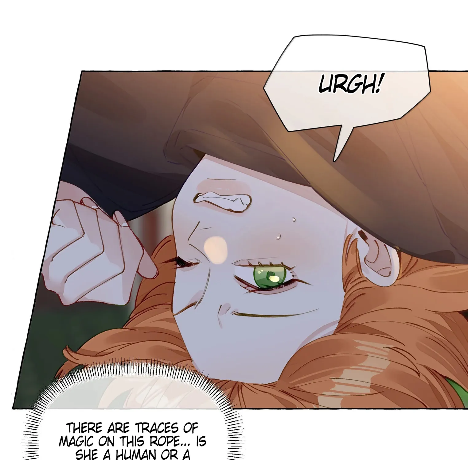 Foxes Always Lie Chapter 21 page 15 - 