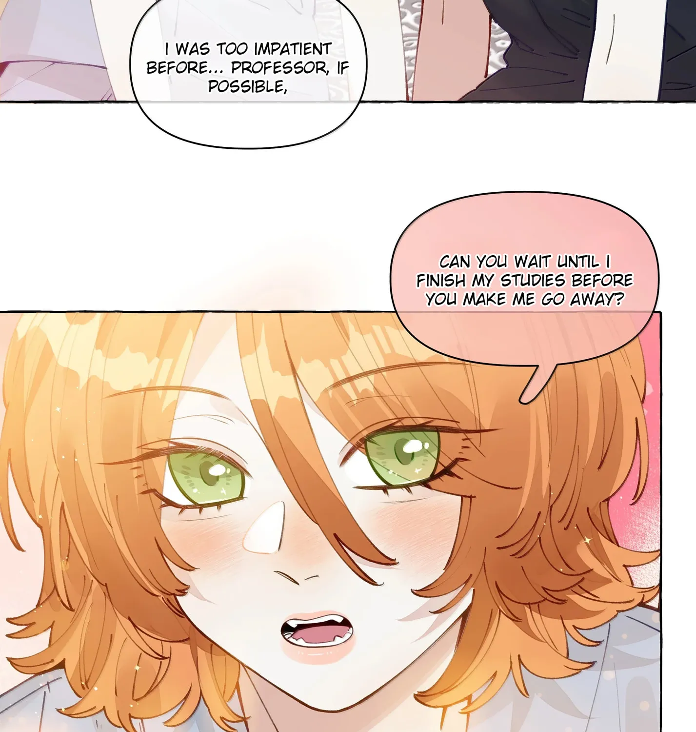 Foxes Always Lie Chapter 25 page 27 - 