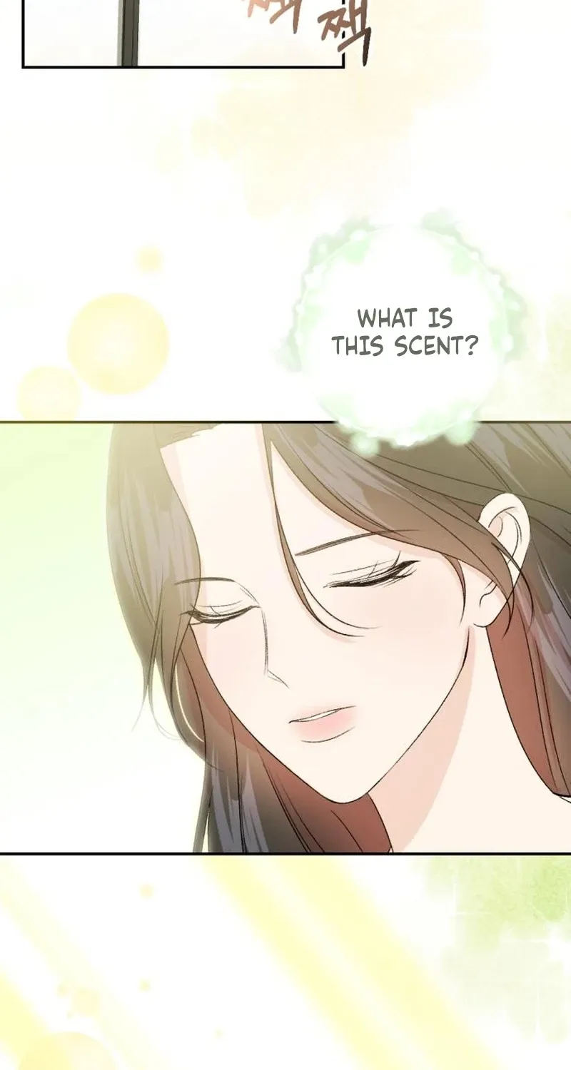 Fragrant Contractual Relationship Chapter 2 page 2 - 