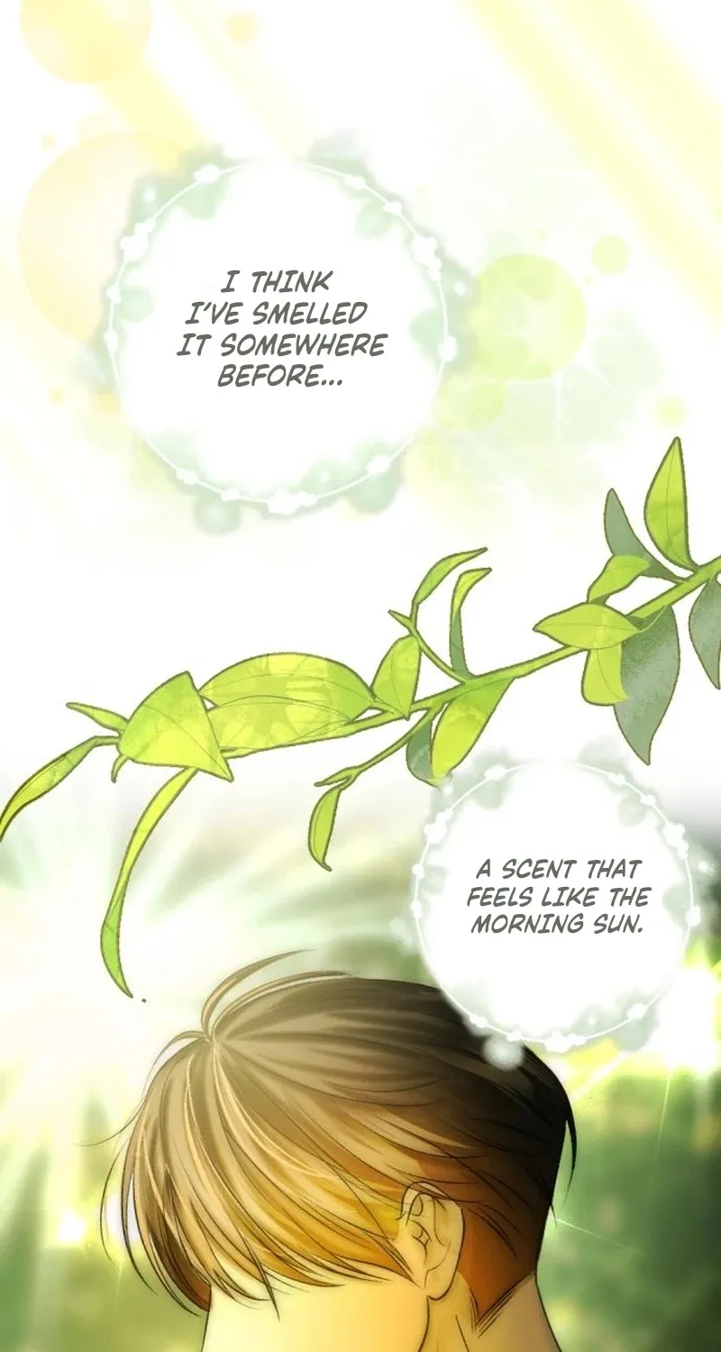 Fragrant Contractual Relationship Chapter 2 page 3 - 