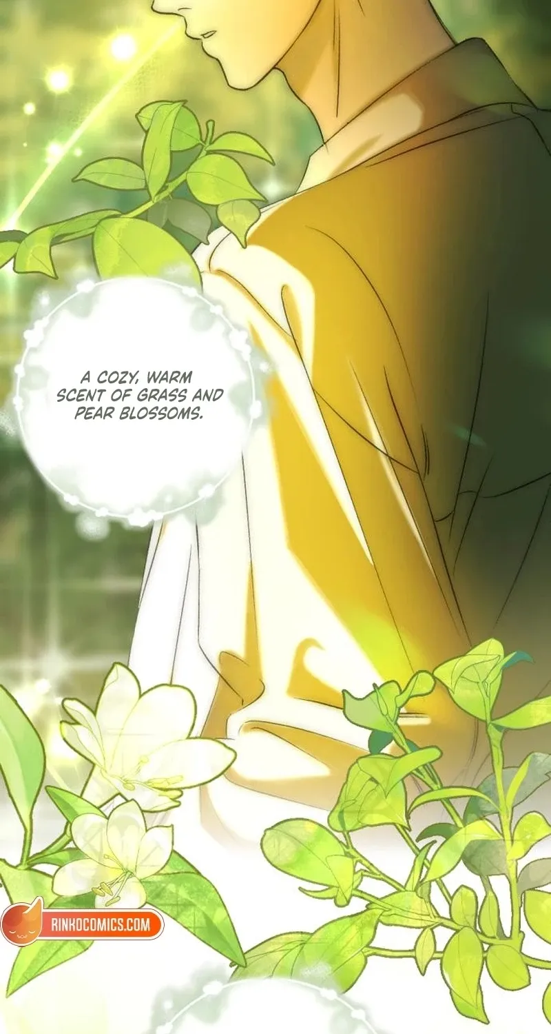 Fragrant Contractual Relationship Chapter 2 page 4 - 