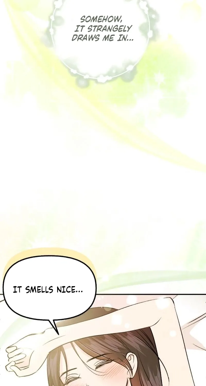 Fragrant Contractual Relationship Chapter 2 page 5 - 