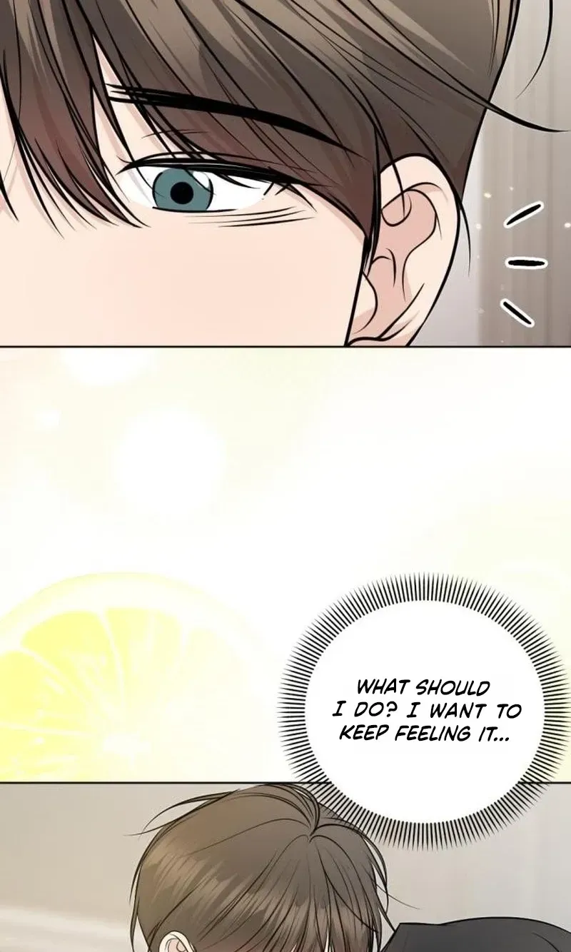 Fragrant Contractual Relationship Chapter 22 page 104 - 