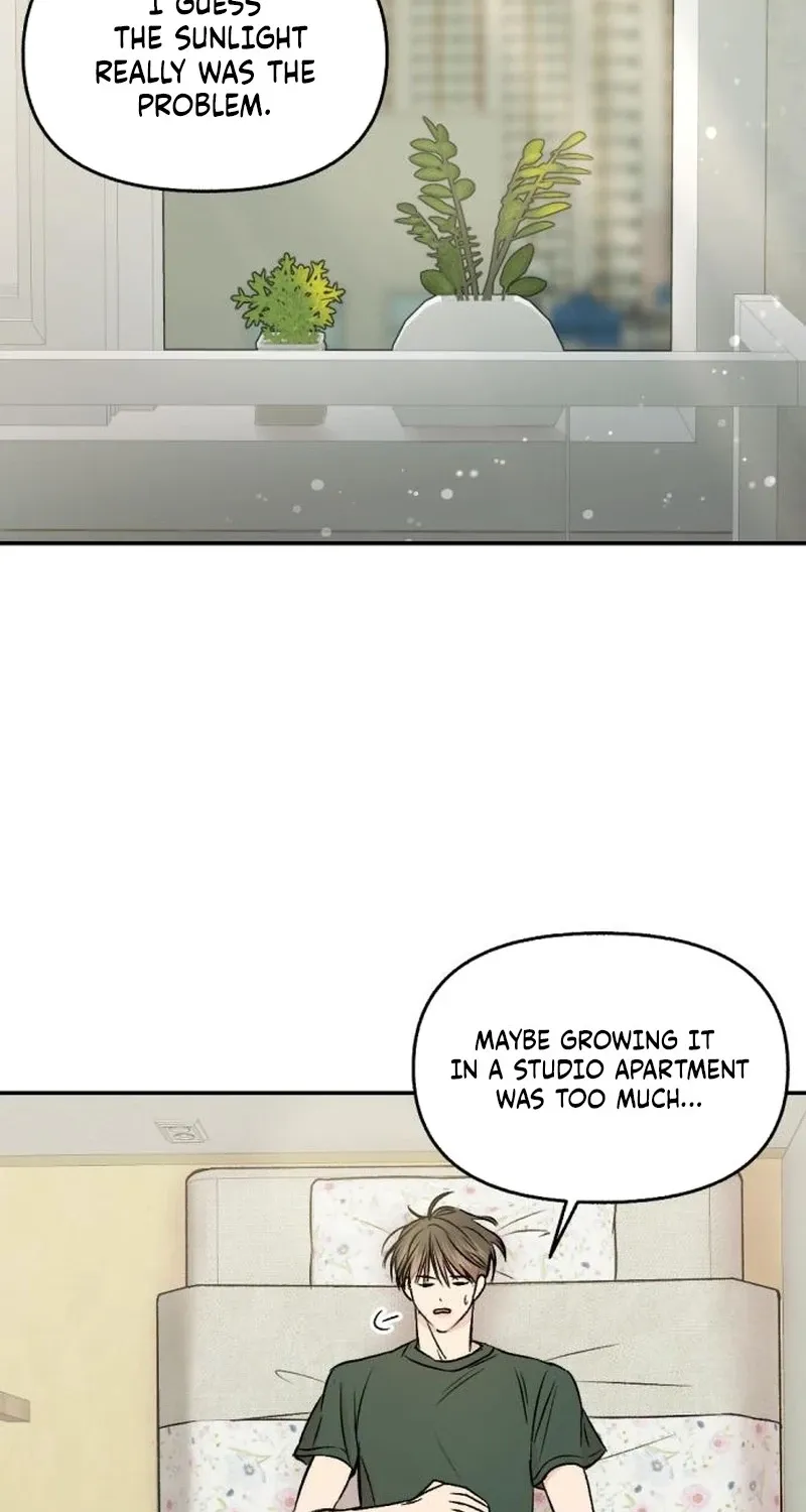 Fragrant Contractual Relationship Chapter 4 page 48 - 