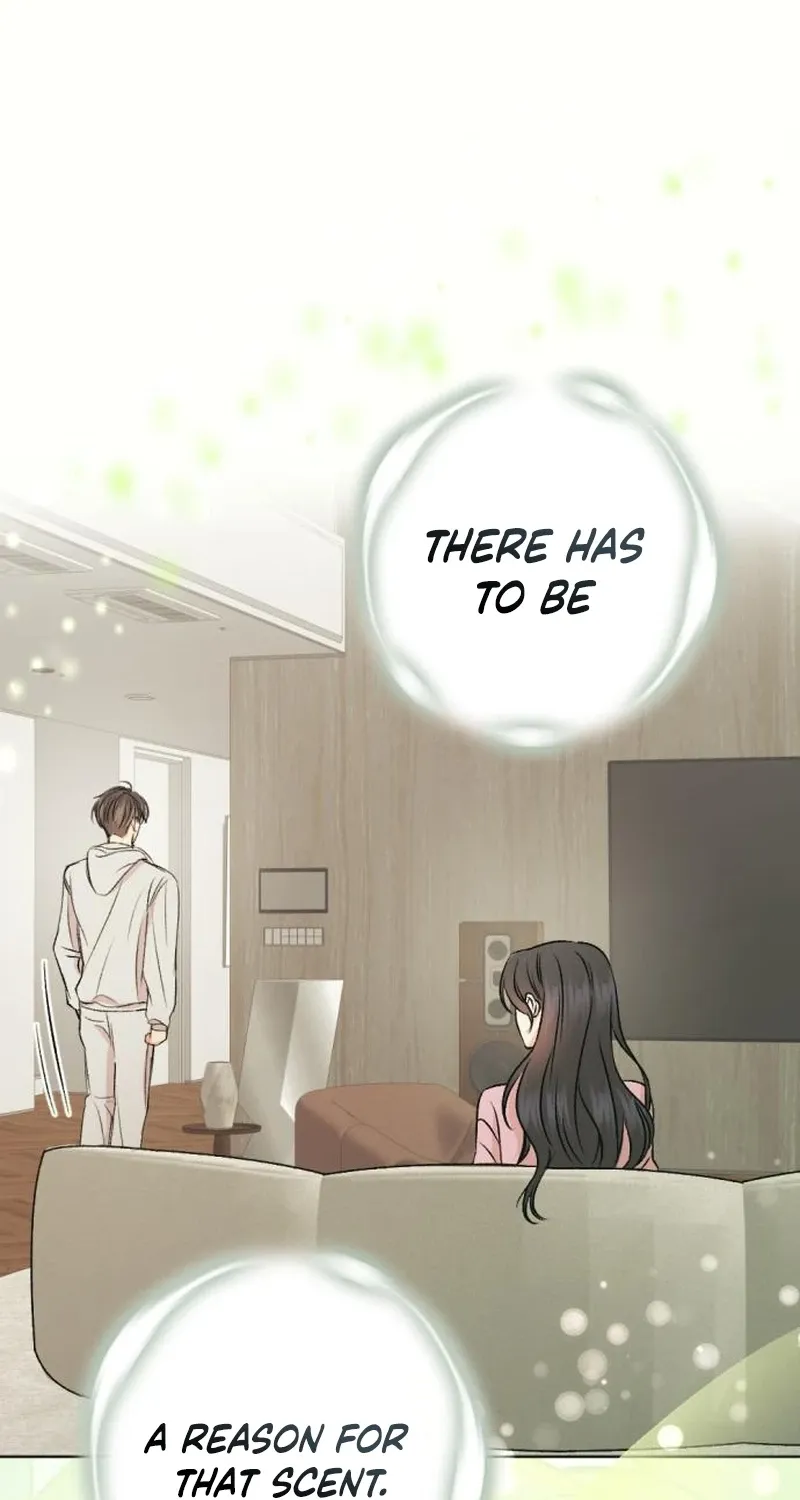 Fragrant Contractual Relationship Chapter 5 page 31 - 