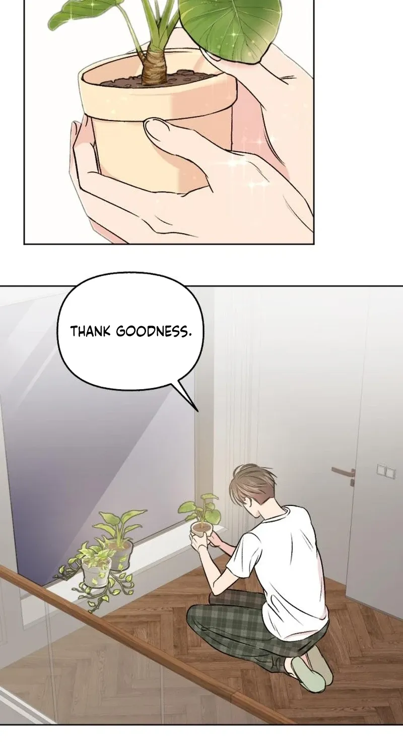 Fragrant Contractual Relationship Chapter 5 page 70 - 