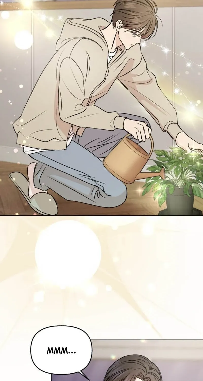 Fragrant Contractual Relationship Chapter 7 page 2 - 