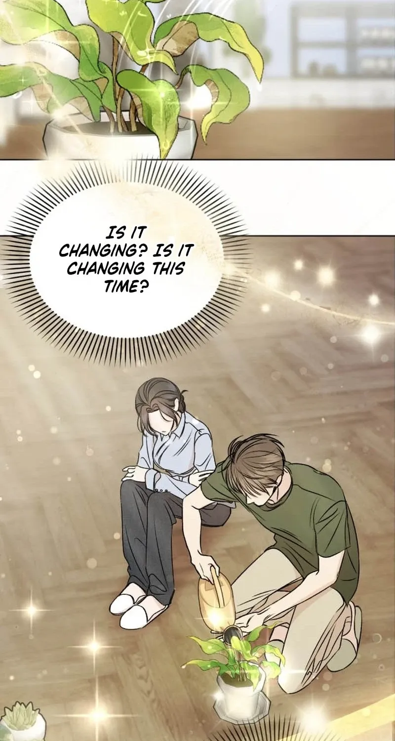 Fragrant Contractual Relationship Chapter 7 page 20 - 