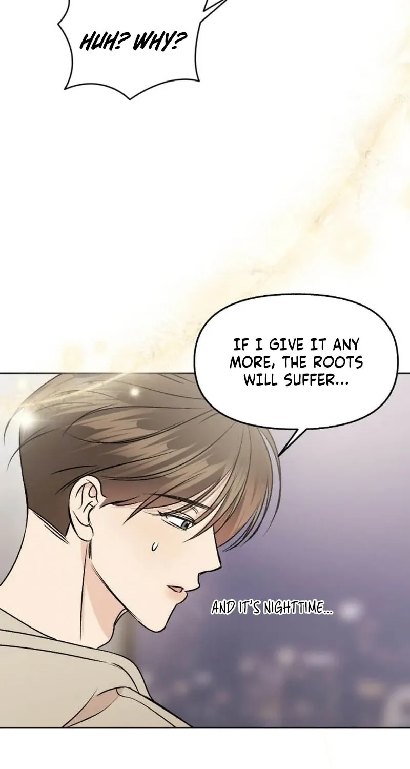 Fragrant Contractual Relationship Chapter 7 page 5 - 