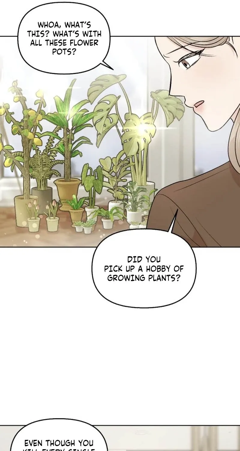 Fragrant Contractual Relationship Chapter 7 page 42 - 