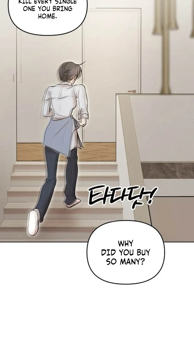 Fragrant Contractual Relationship Chapter 7 page 43 - 