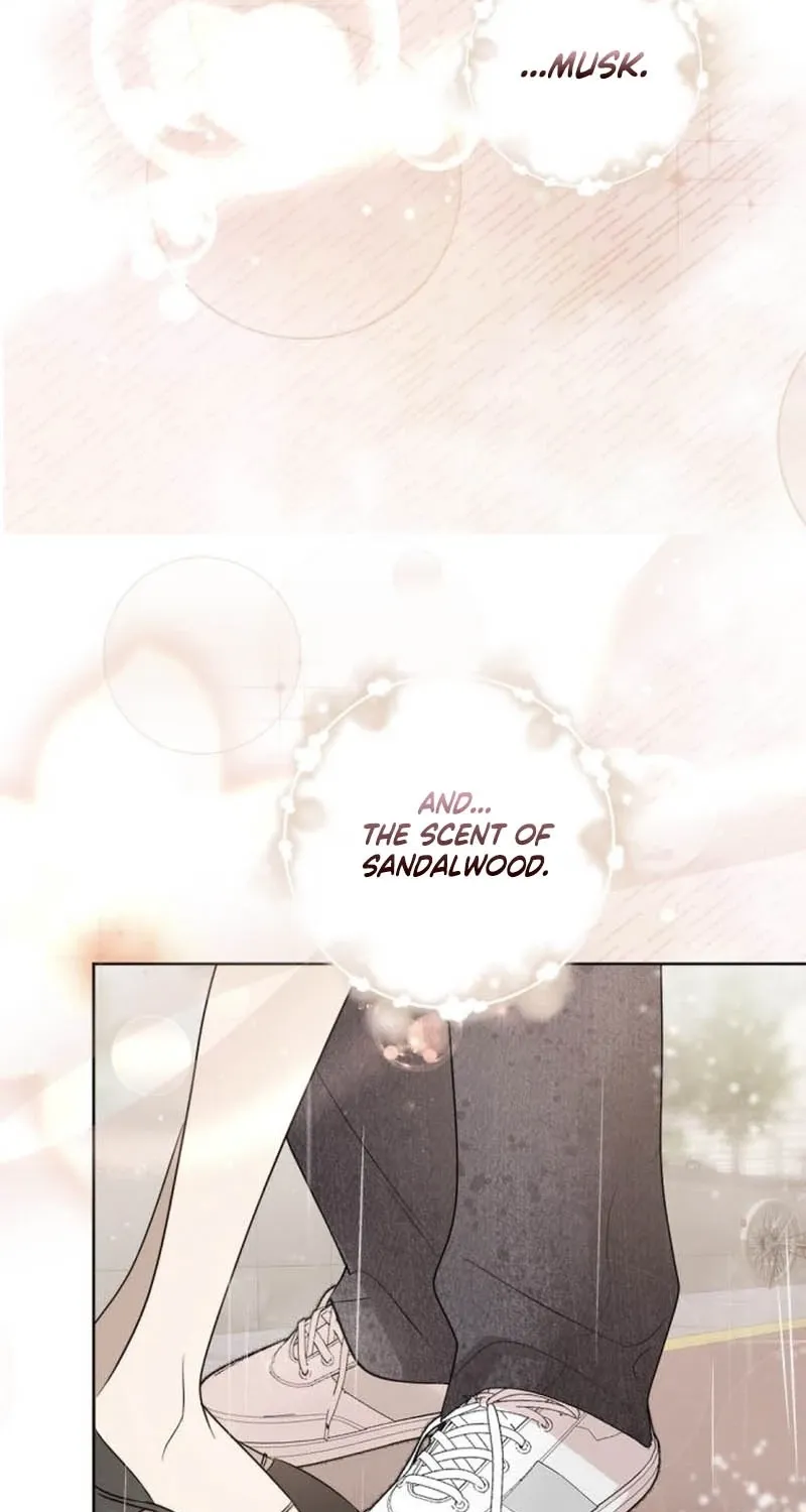 Fragrant Contractual Relationship Chapter 8 page 101 - 