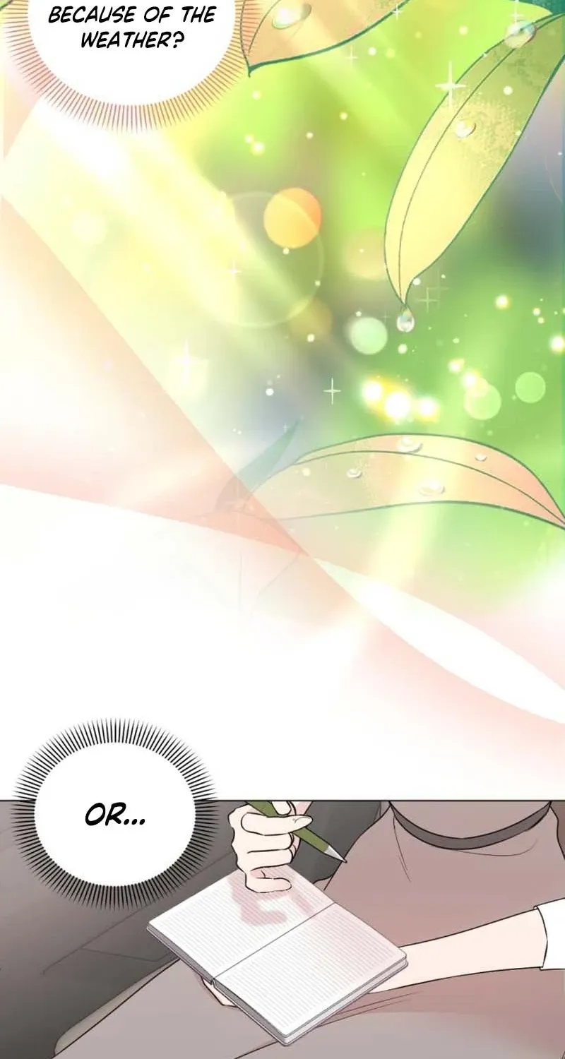 Fragrant Contractual Relationship Chapter 9 page 24 - 