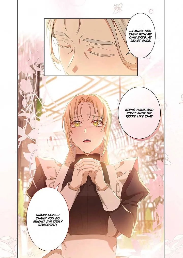 From a background character to the guardian of the marquess