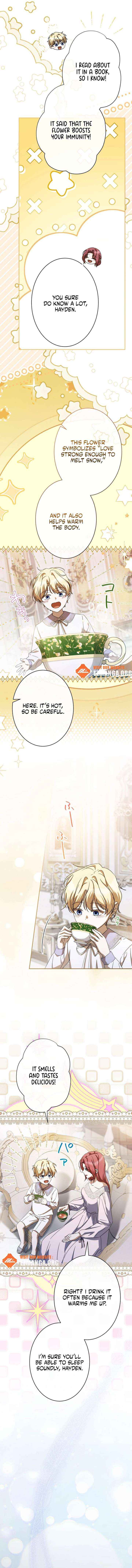 From Disgraced Lady to Beloved Stepmother Chapter 19 page 5 - 