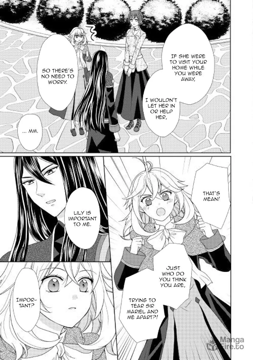 From Maid to Mother Chapter 33 page 3 - 