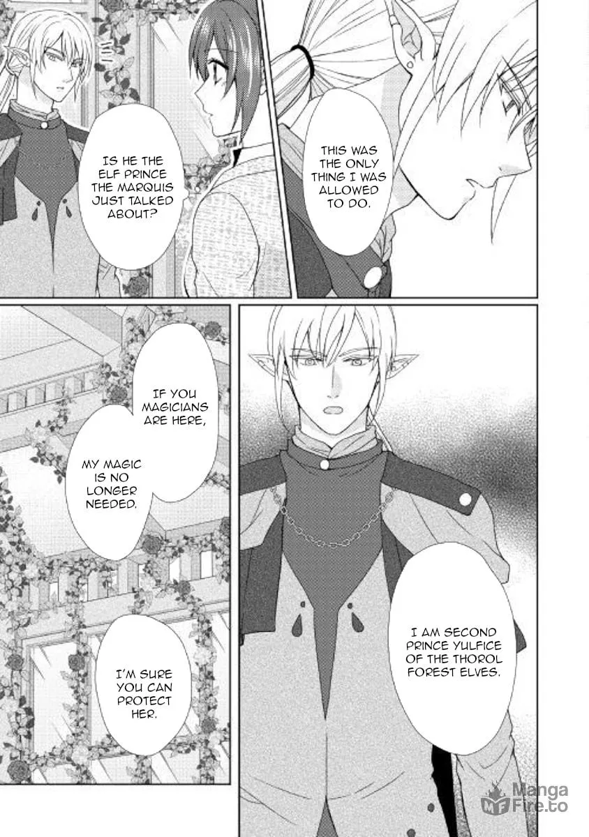 From Maid to Mother Chapter 34 page 3 - 