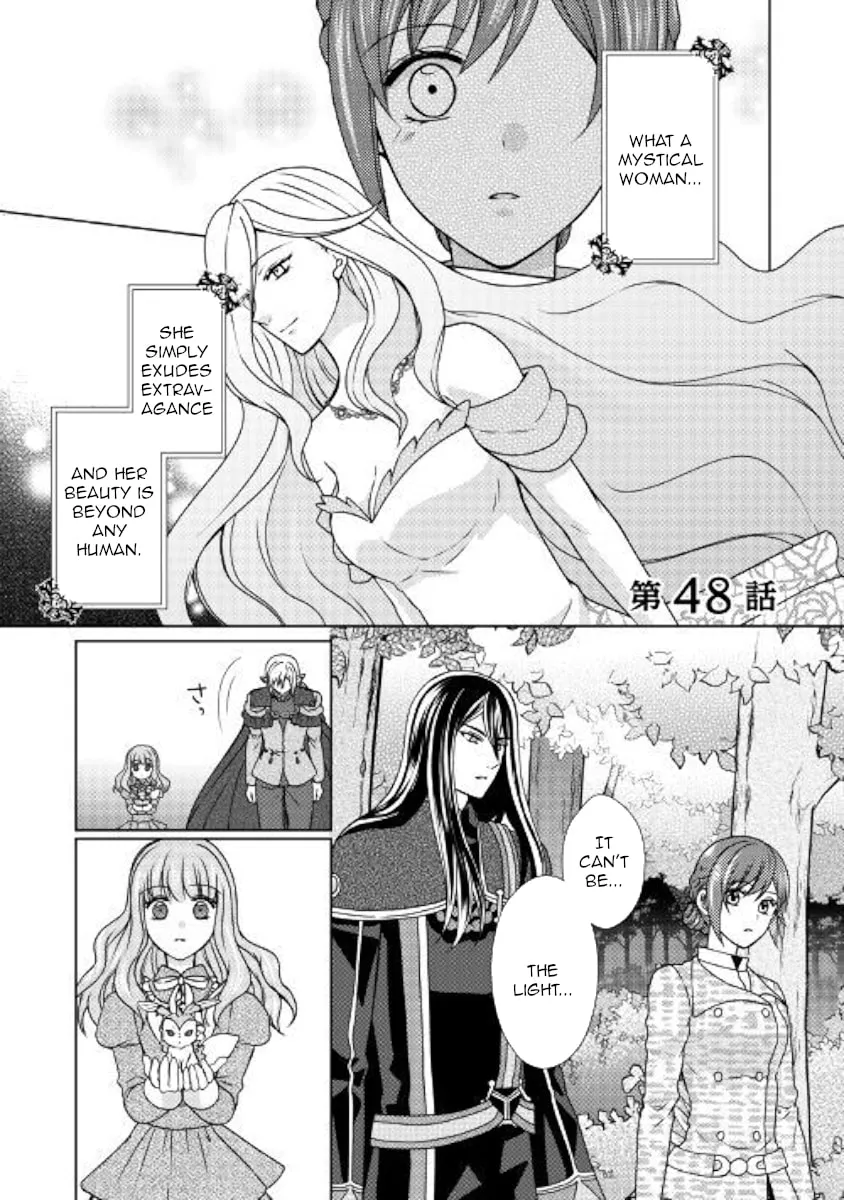 From Maid to Mother Chapter 48 page 1 - 