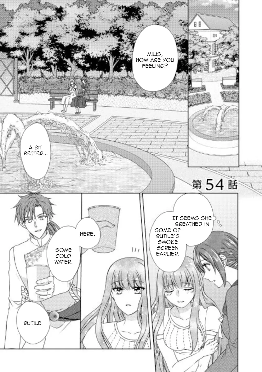 From Maid to Mother Chapter 54 page 1 - 
