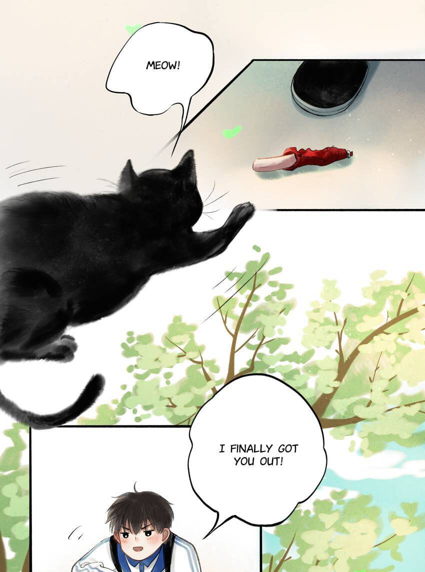 From North to South (Colored) Chapter 33 page 21 - 