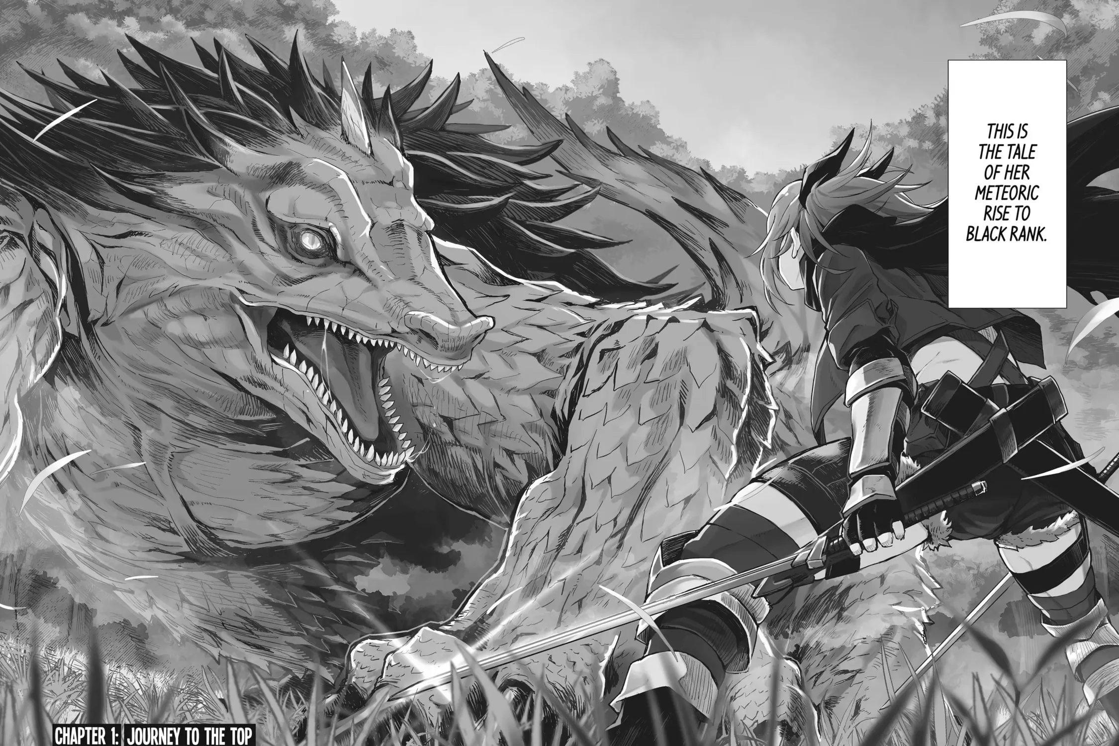 From Old Country Bumpkin to Master Swordsman: The Twin Dragonblade