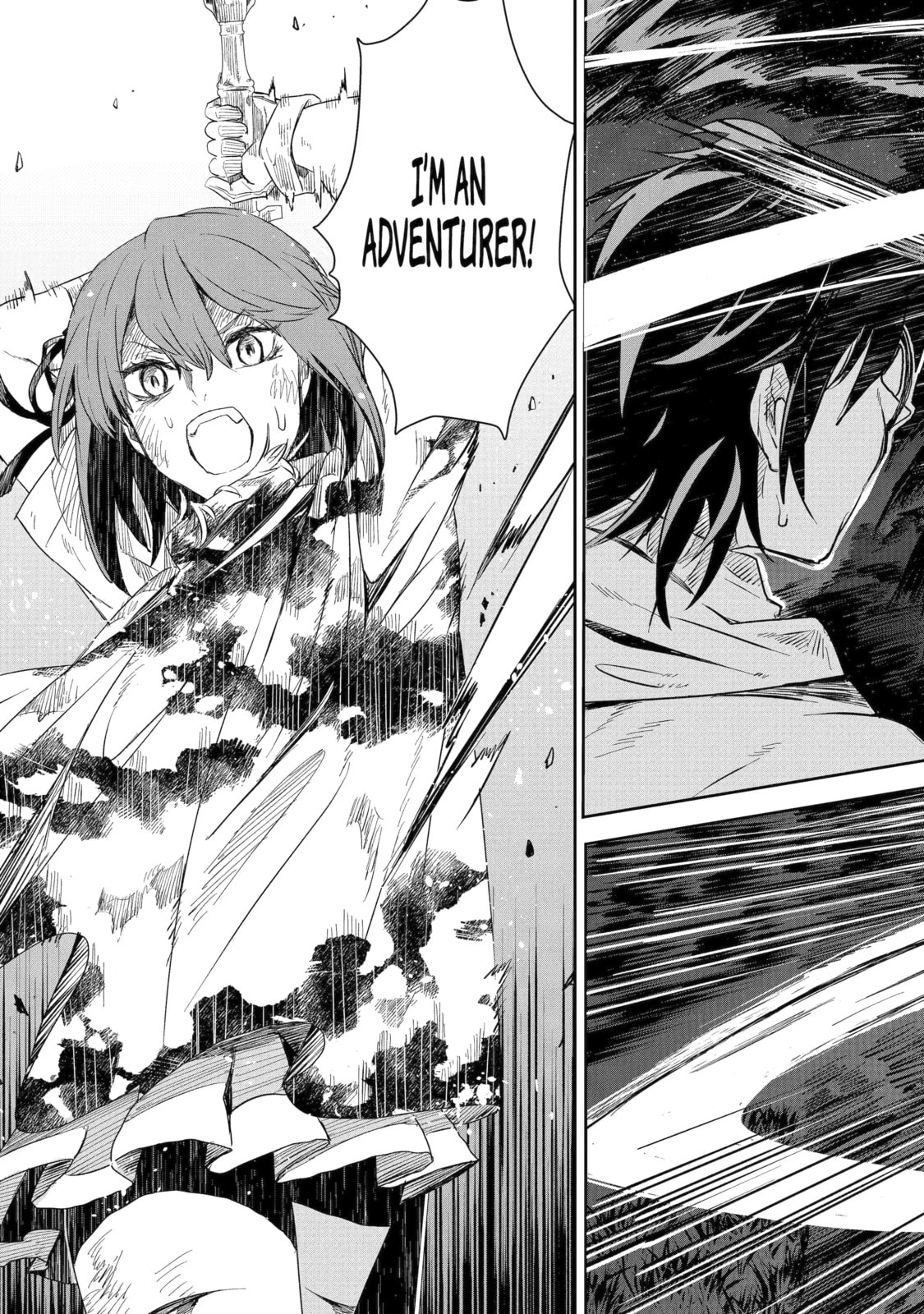 From Old Country Bumpkin to Master Swordsman: The Twin Dragonblade