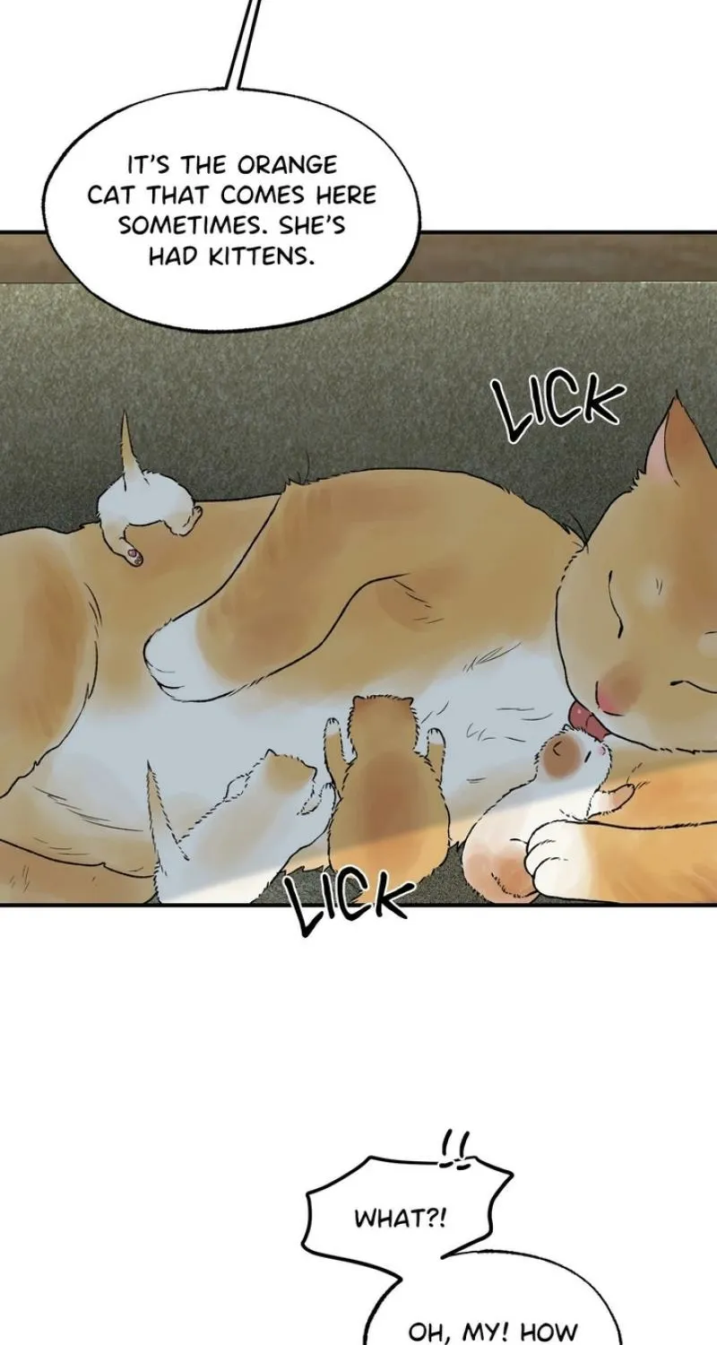 From Rain and Ash Chapter 30 page 19 - 