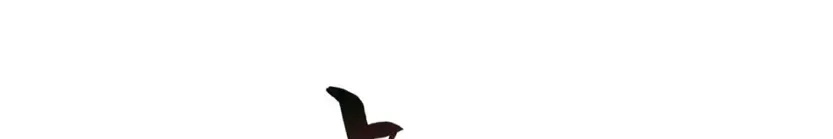 From Simp to Billionaire: The Rise of a Divine Tycoon Chapter 320 page 8 - 