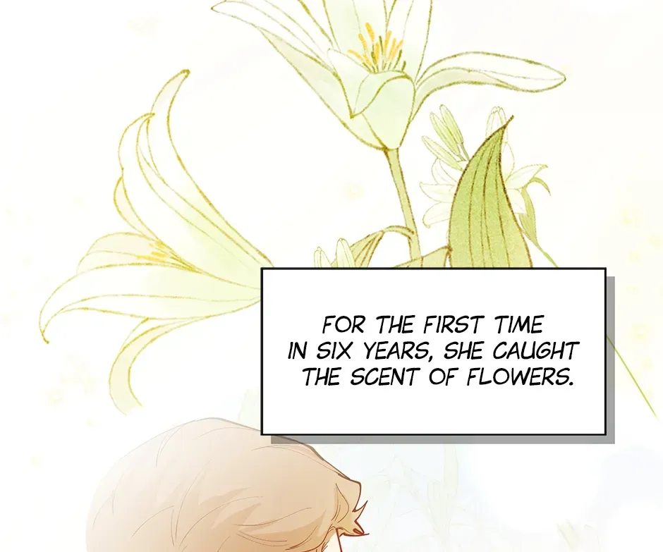 From Six to Sovereignty: The Girl Who Ruled Chapter 1 page 98 - 