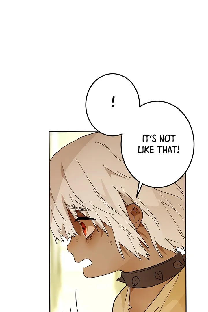 From Six to Sovereignty: The Girl Who Ruled Chapter 42 page 19 - 