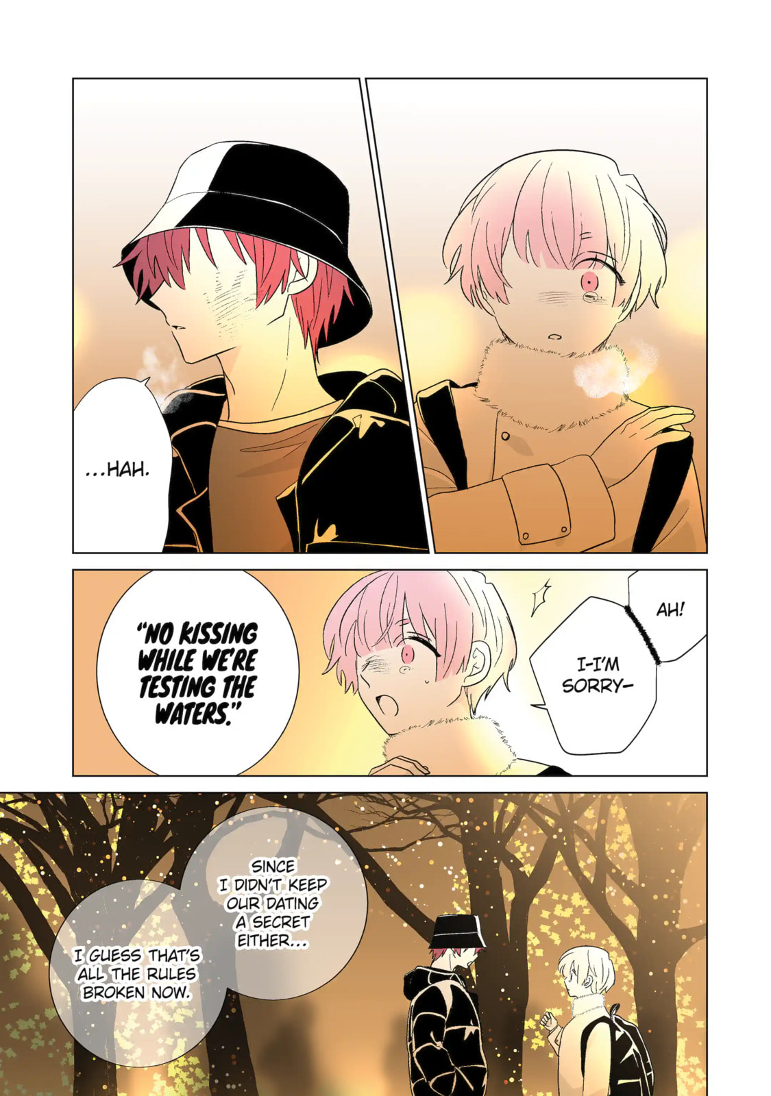 From Superfan to Stepsister Chapter 65.2 page 13 - 