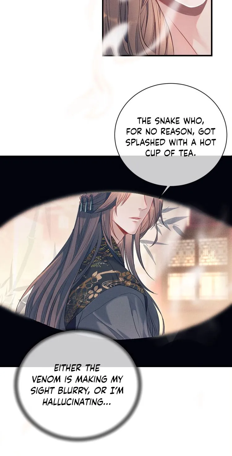 From the Serpent