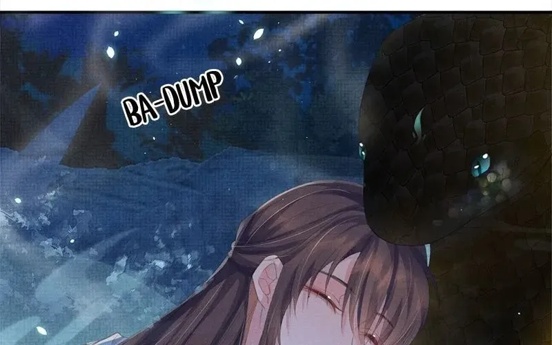 From the Serpent
