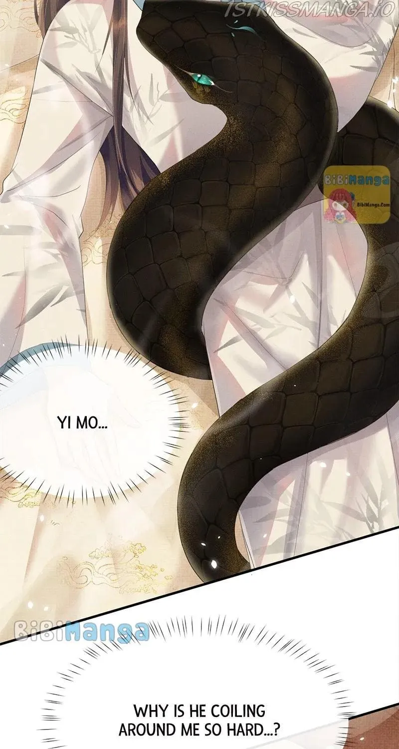 From the Serpent