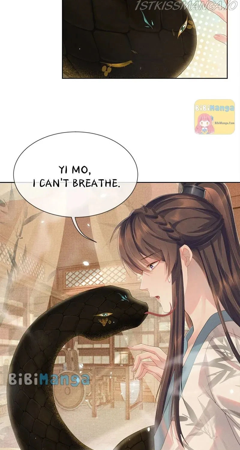 From the Serpent