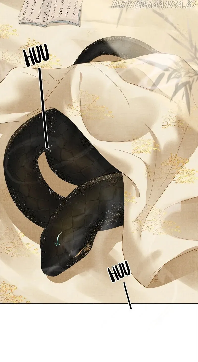 From the Serpent