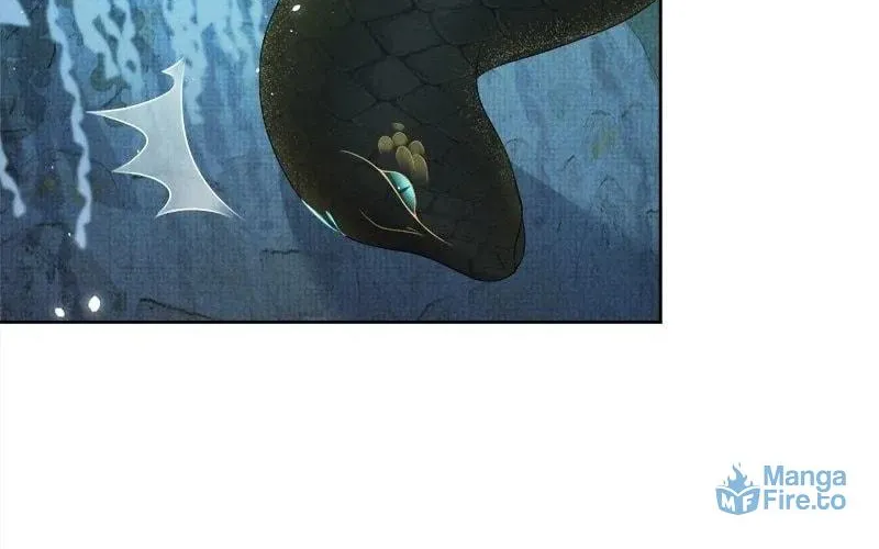 From the Serpent
