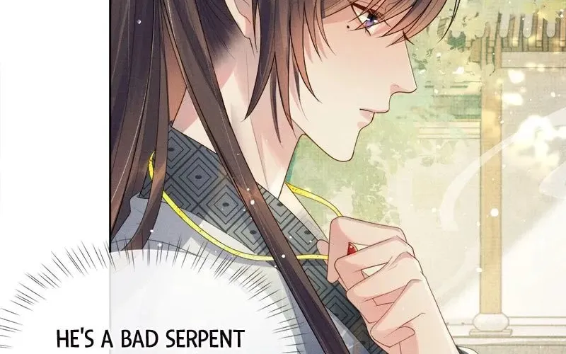 From the Serpent